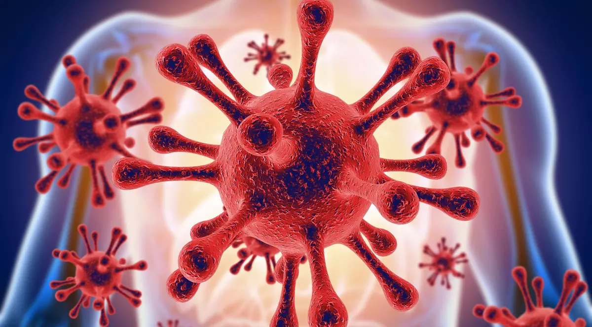 Cum acționează coronavirusul în organism