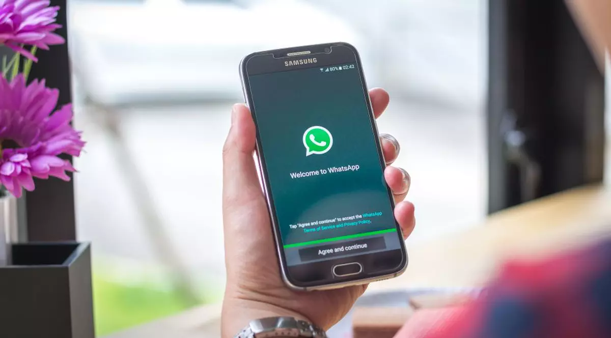 Informații utile despre coronavirus pe WhatsApp, de la OMS. Cum vă puteți abona