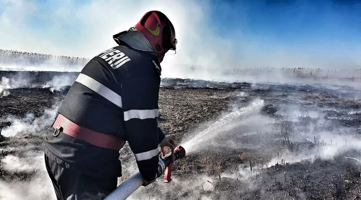 Sute de hectare de vegetație au ars în România în ultimele zile. Puține amenzi