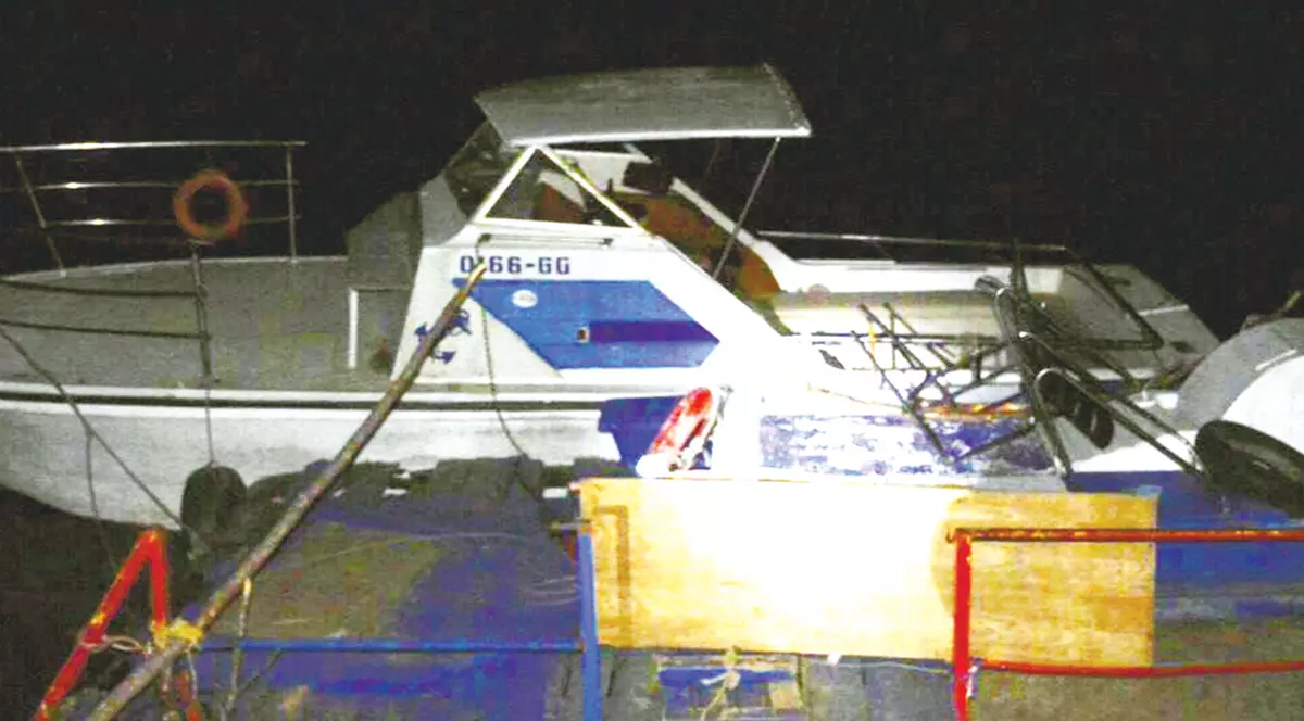 VIDEO | Prinși la braconaj, în plină pandemie. Trei argeşeni, prinși cu minciuna de jandarmi: Au spus că merg la rudele bolnave