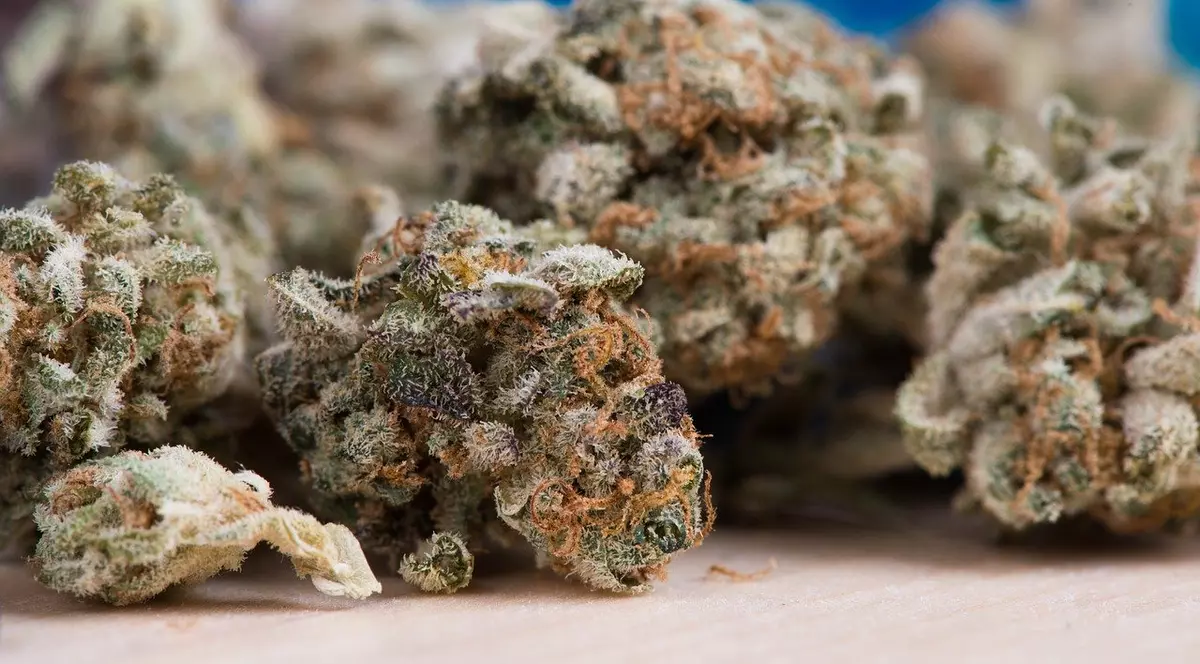 Traficul cu hașiș între Maroc și Spania continuă. Garda Civilă spaniolă a confiscat peste 5,5 tone de hașiș