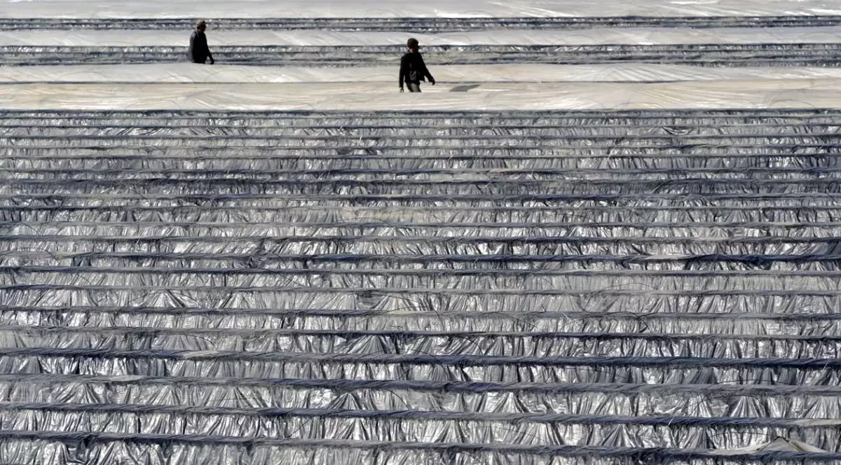 VIDEO Un român aflat în Germania la cules de sparanghel a murit din cauza infecției cu coronavirus