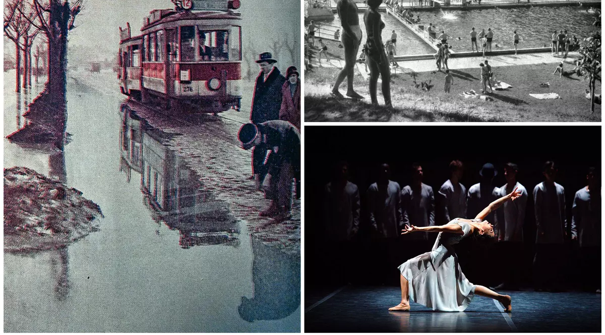 Cultură în online. Hamletul de la Timișoara, frate cu ciobănașul mioritic