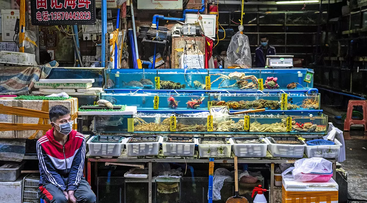 Organizația Mondială a Sănătății se întreabă ce rol a jucat piața în aer liber din Wuhan în răspândirea Covid-19