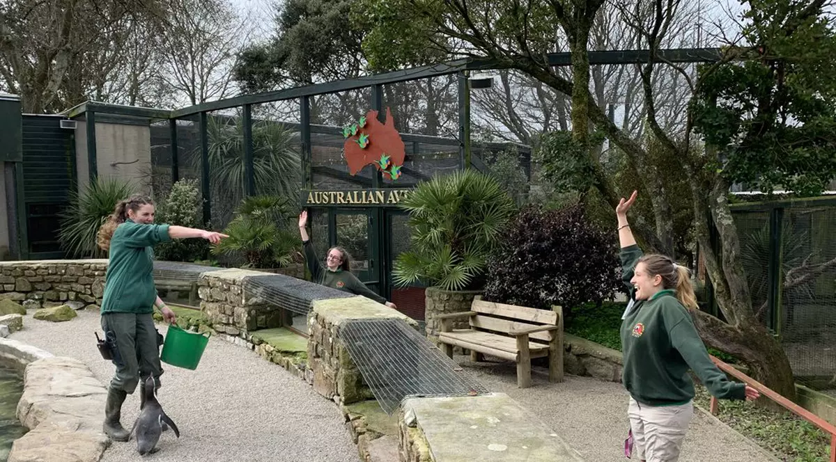Îngrijitorii de animale din Marea Britanie s-au autoizolat în grădinile zoologice în care lucrează ca să poată avea grijă de animale