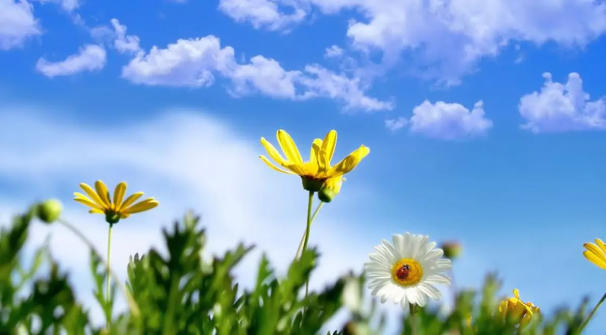 Cum va fi vremea până la Paște. Prognoza meteo pentru următoarele 2 săptămâni