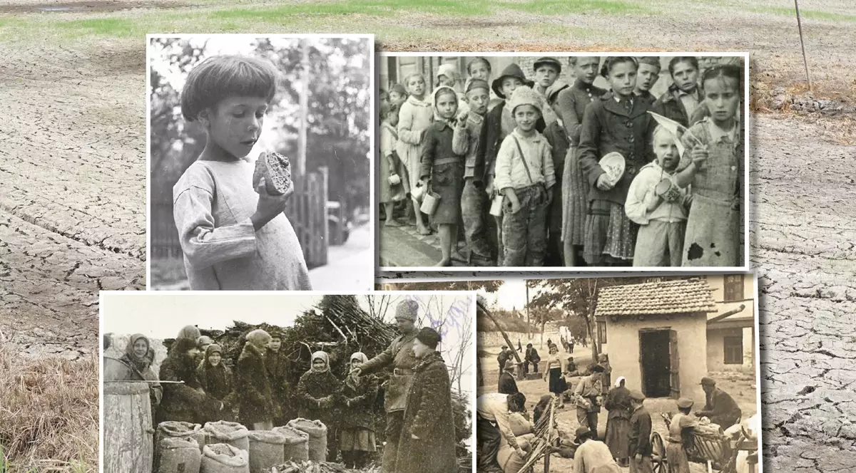 Seceta din agricultură comparată de specialiști cu cea din ’47, care a provocat o imensă criză alimentară. Cum a fost, de fapt, marea foamete de atunci, când românii măcinau coajă de copac?