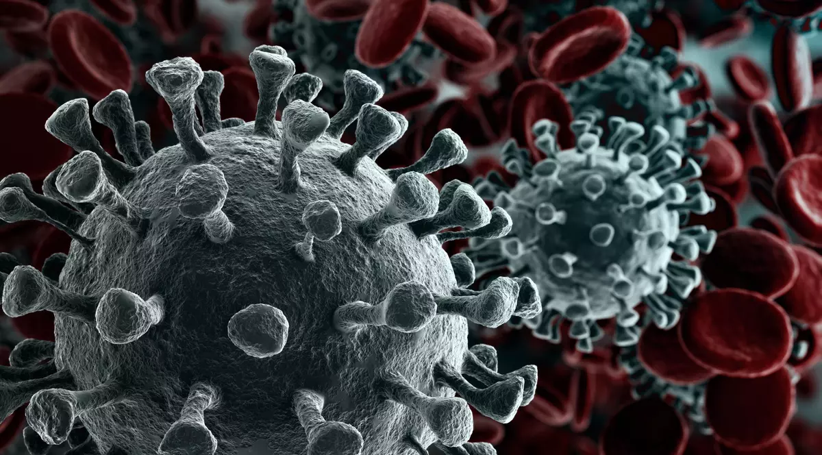 Mecanismul care a dus la pandemia de COVID