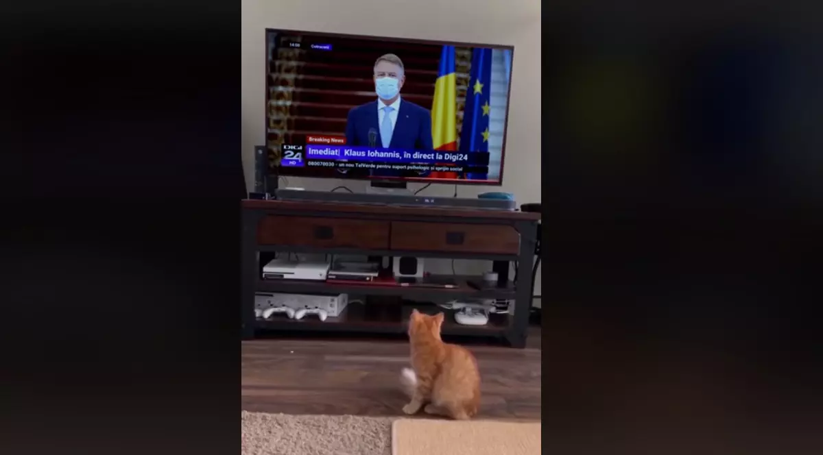 Cum a ajuns un clip cu o pisică speriată de Iohannis să se viralizeze pe Facebook. Explicațiile celui care a creat trucajul