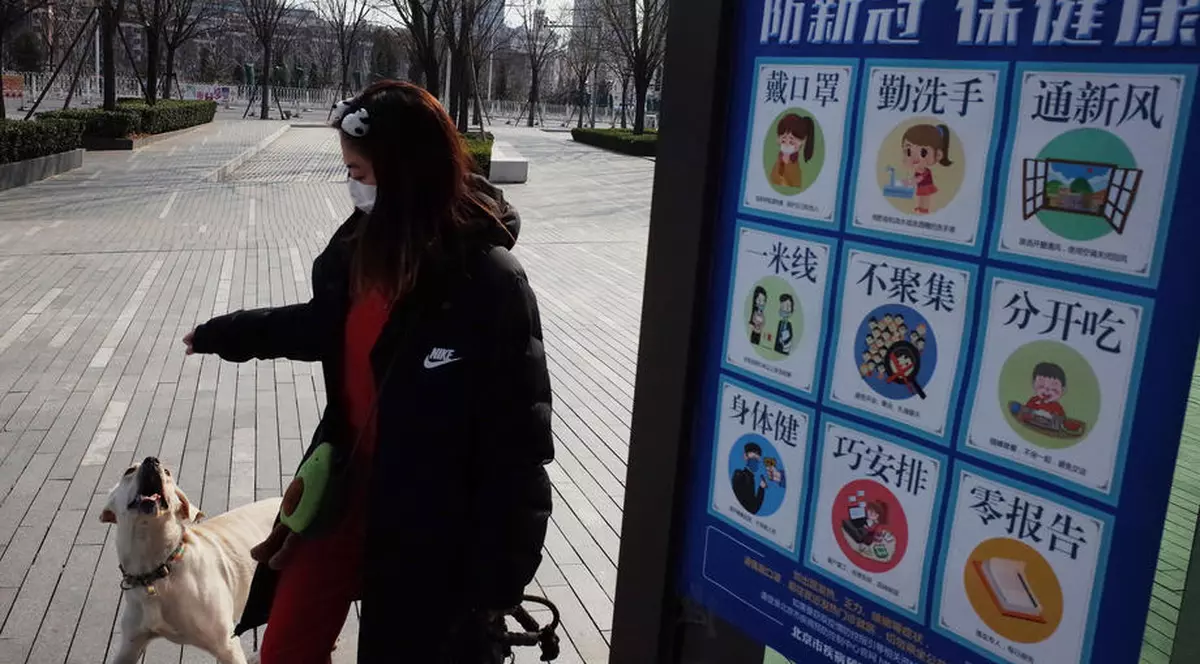 Decizie istorică. Un oraș din China va interzice consumul de carne de câine și de pisică