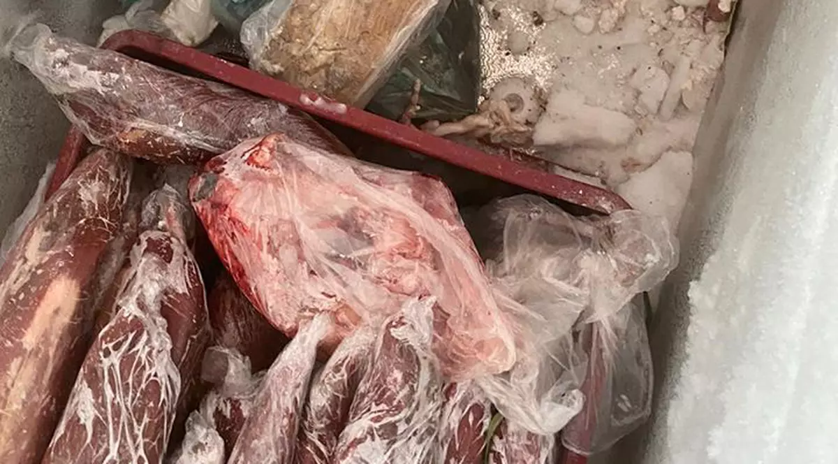 VIDEO| Dezastru în piețele din Hunedoara. Carne și legume stricate, oferite spre vânzare. ANPC a dat amenzi uriașe
