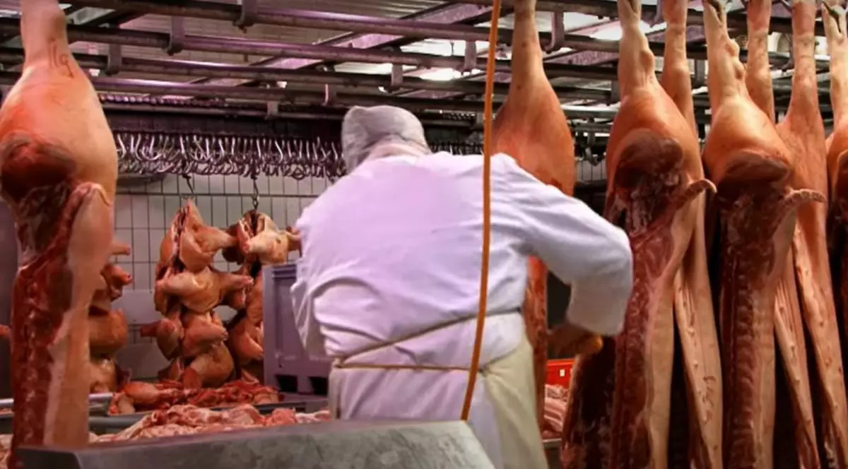 Sclavia modernă din abatoarele din Germania, în Financial Times: ture de 16-18 ore și „muncitori care și-au tăiat degetele”