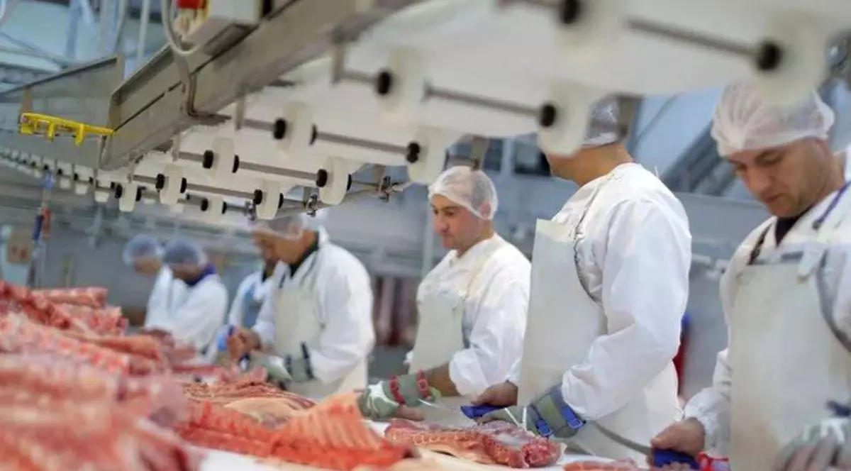 Deutsche Welle despre abatoarele unde au luat COVID sute de români