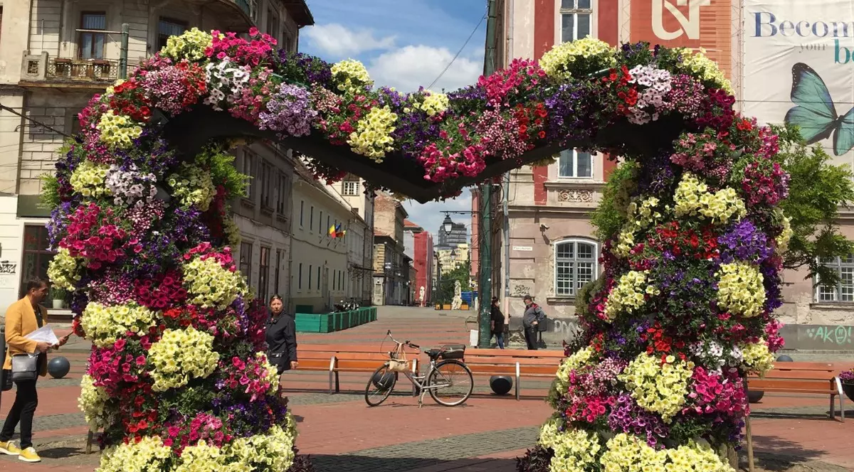 Cum întâmpină Timișoara relaxarea măsurilor de izolare: aproape jumătate de milion de flori, plantate în centrul orașului