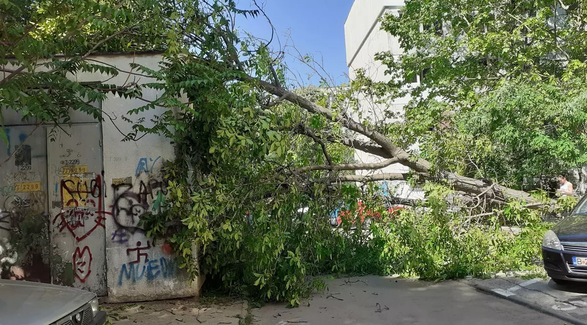 O femeie a fost rănită de un copac rupt de vântul puternic, în sectorul 4