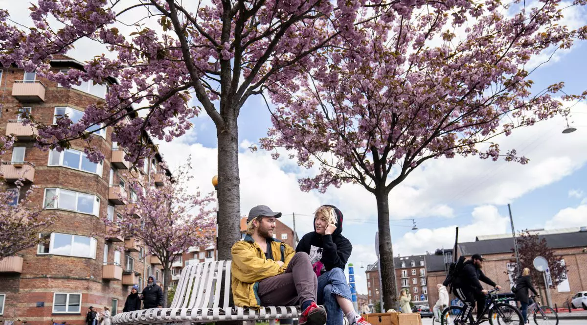 Optimism în Danemarca, prima țară UE care a relaxat restricțiile: infecțiile nu au crescut, iar al doilea val este ”improbabil”