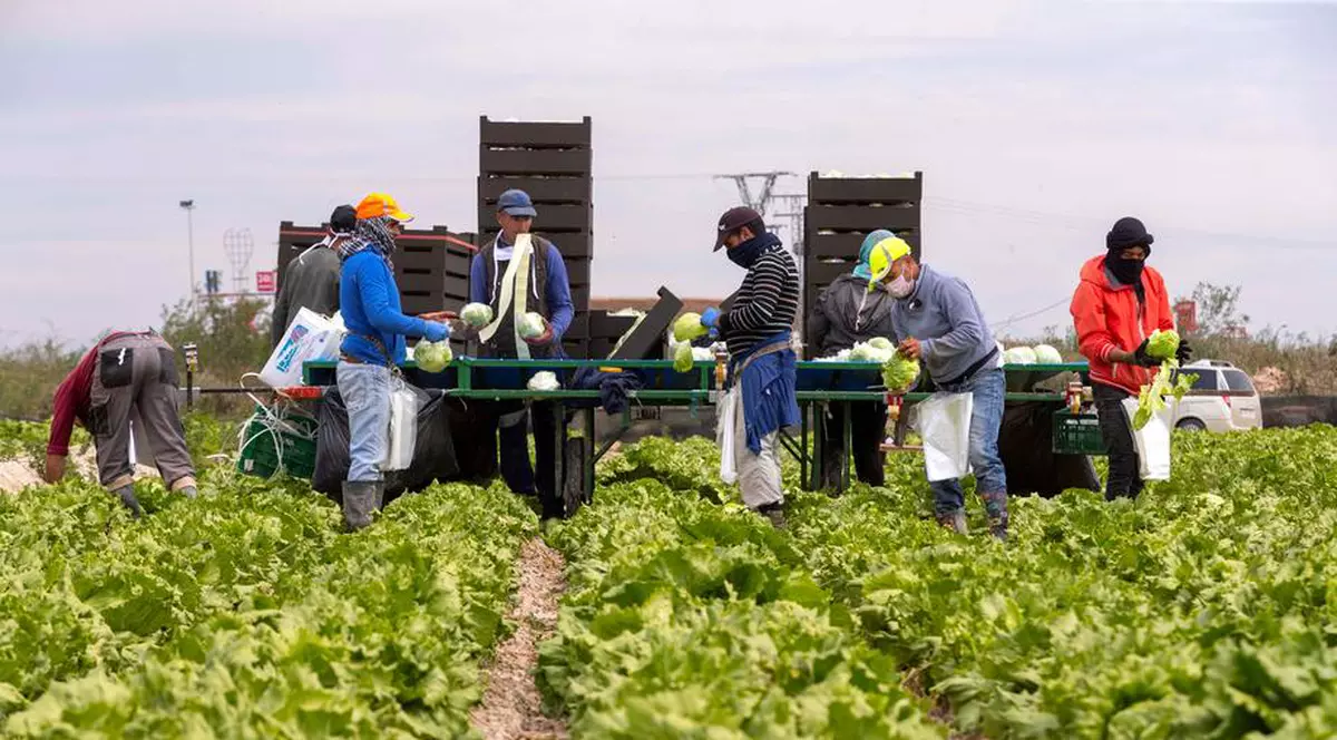 MAE: 150 de români, confirmați cu coronavirus la o fermă din Germania. Care este starea lor de sănătate