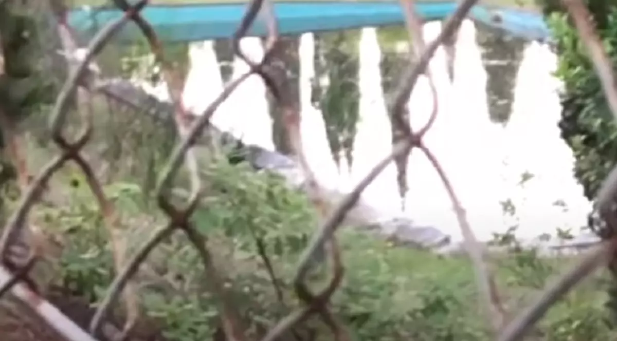 VIDEO | Fetița unei românce din Italia a fost găsită moartă, la 2 kilometri de casă