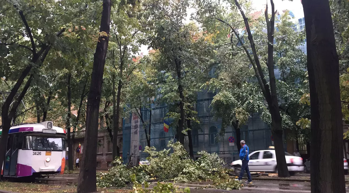 Atenționare meteo. Cod galben de vijelii în 28 de județe, de joi dimineață