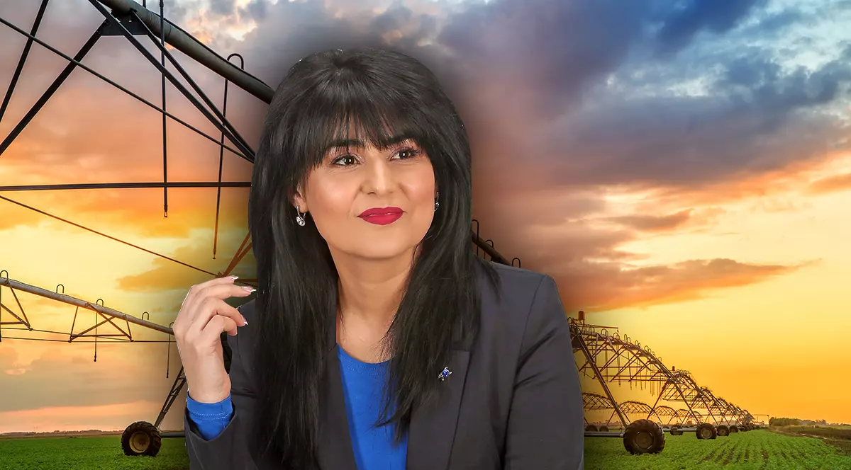 Jurista de la irigații. Șefa organizației de femei PMP Galați conduce Agenția de Îmbunătățiri Funciare din județ, deși n-are studii în domeniu, nici experiență