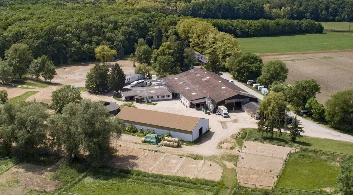 Un muncitor român de la un centru de echitație din Germania și-a omorât în bătaie un coleg