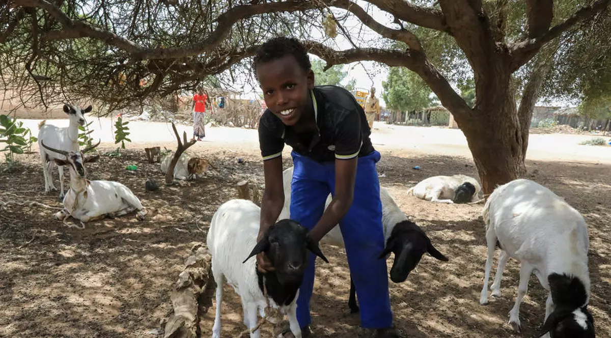 Coronavirus în Tanzania. Eșantioane de la o capră și de la un fruct testate pozitiv la COVID-19