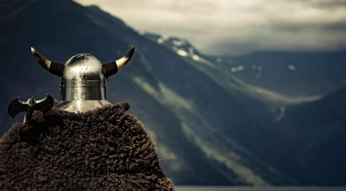 Vikingii și epoca vikingilor