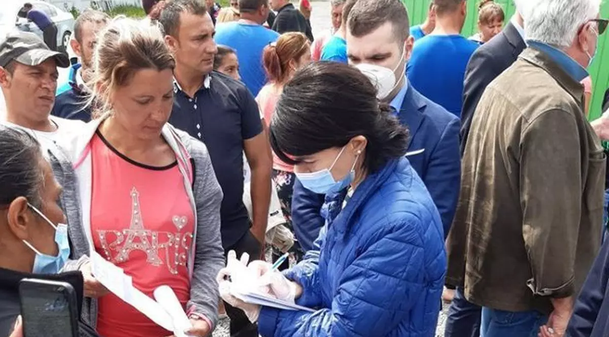 Ministrul Muncii, după vizita la ferma germană unde lucrează muncitorii români: „Toate sumele ce li se cuvin vor fi plătite”