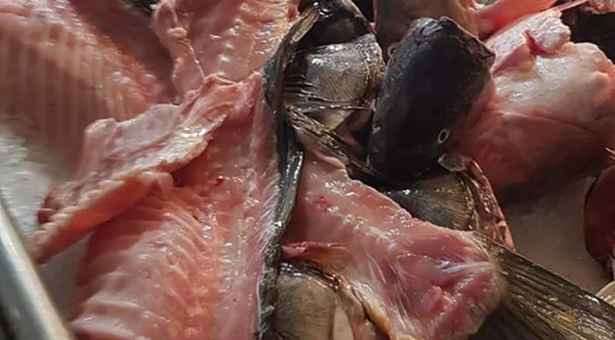 Dezastru în piețele din Slobozia. Carne stricată, mucegai și jucării periculoase, puse în vânzare. ANPC  a dat amenzi uriașe