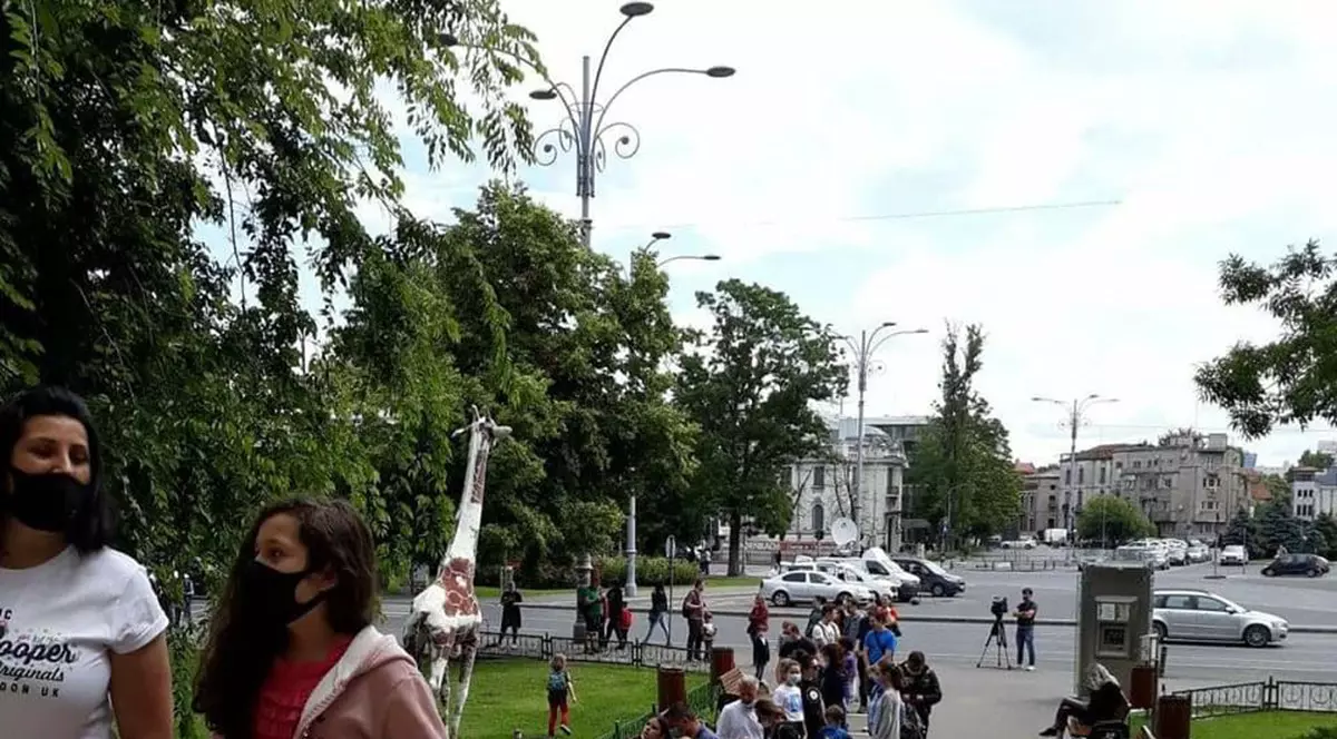 Muzeul Antipa luat cu asalt de vizitatori. S-au format cozi uriașe la intrare