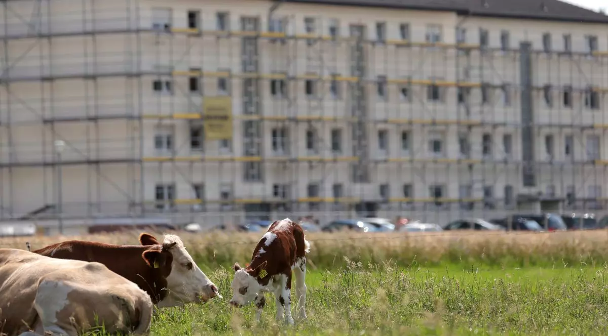 Casa cu mucegai a angajaților Tönnies. Reportaj Deutsche Welle despre condițiile mizere în care trăiesc muncitorii abatorului german, mulți dintre ei români