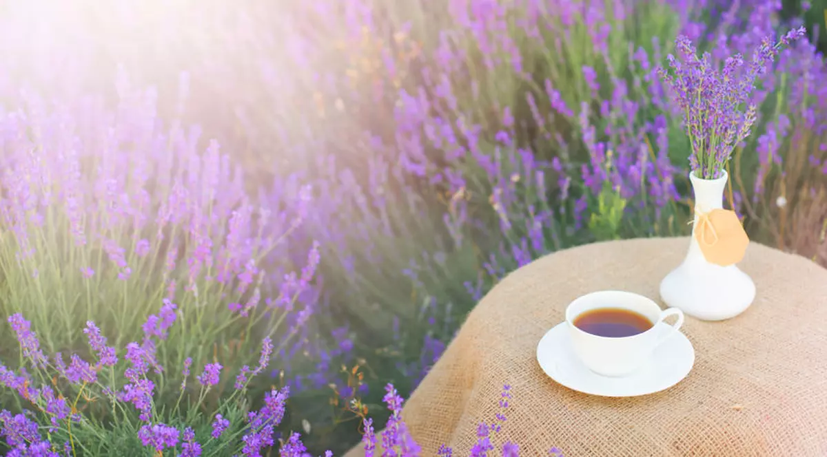 Ceai de lavandă - mod de preparare