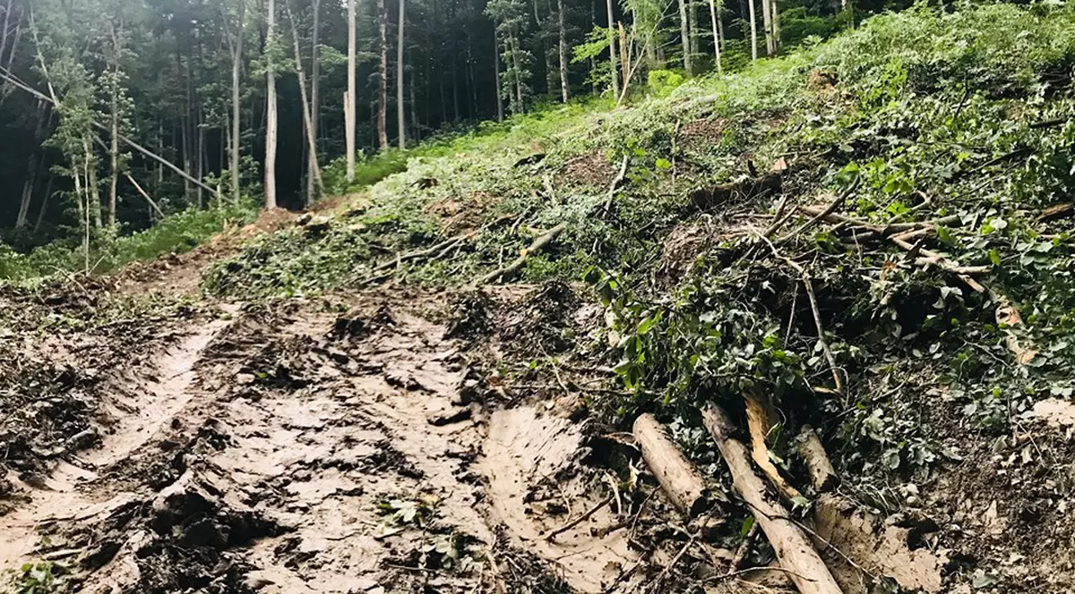 Senatorul Mihai Goțiu: “Parcul Național Cheile Nerei - Beușnița, distrus cu buldozerele și drujbele”