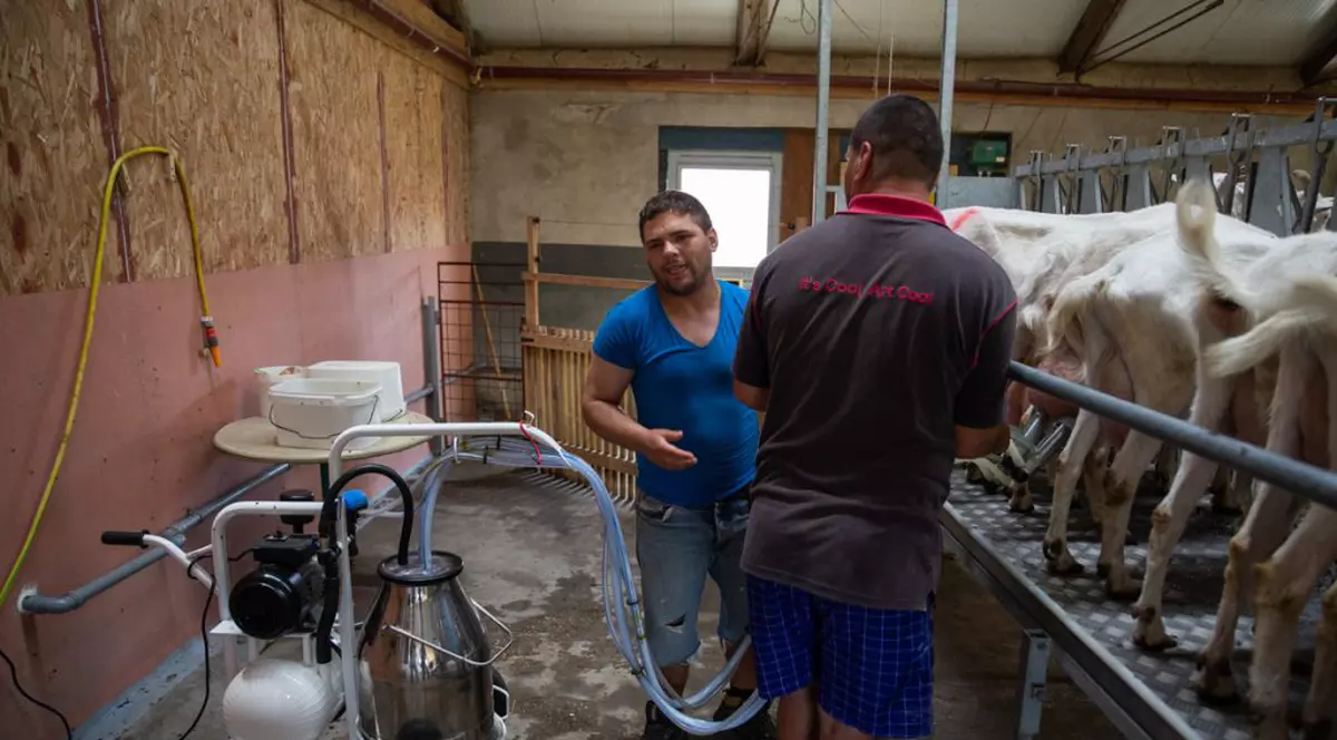 Cum a reușit o fundație olandeză să schimbe viețile oamenilor cu dizabilități dintr-un centru vasluian: “Ştiţi ce mult înseamnă pentru ei să simtă că sunt utili?”