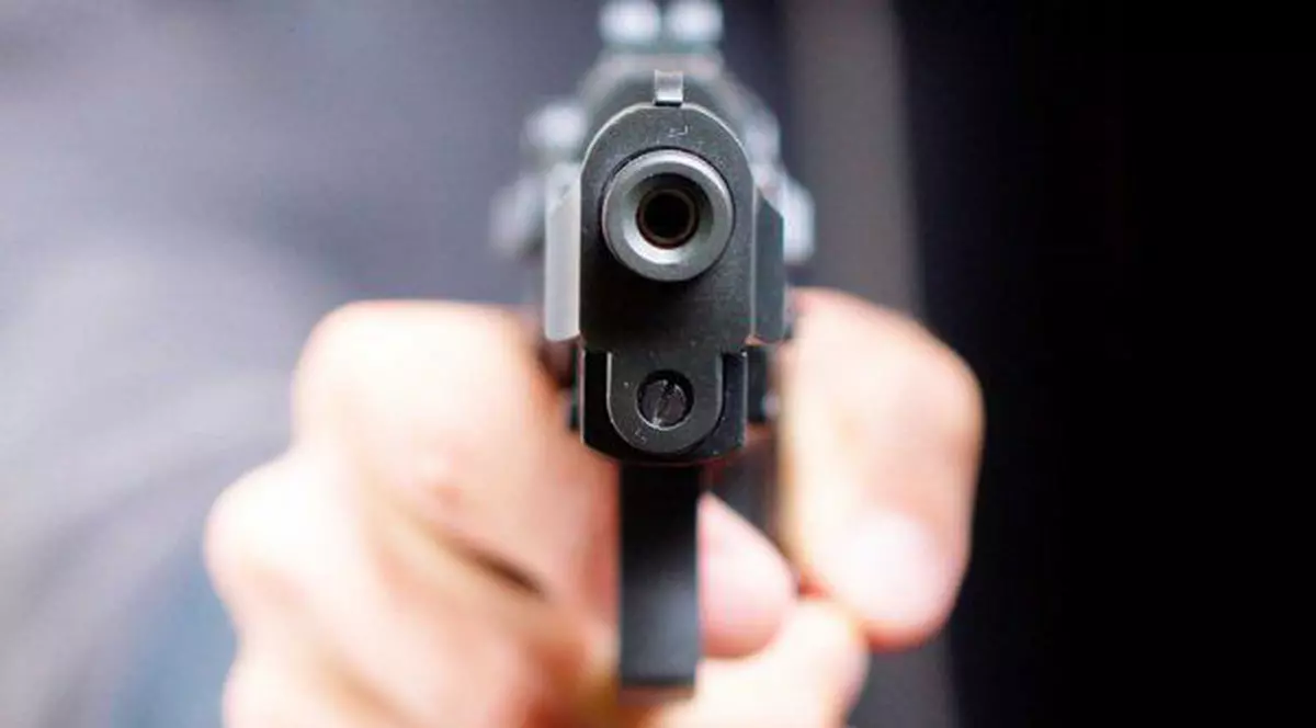 VIDEO Pistoale de 10 milioane de euro, cumpărate de poliție fără licitație, în ultima zi a stării de urgență