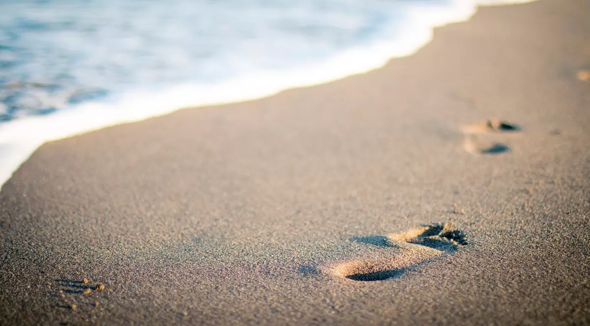 Agenții economici cu plaje în concesiune reducere de 30% de la Guvern