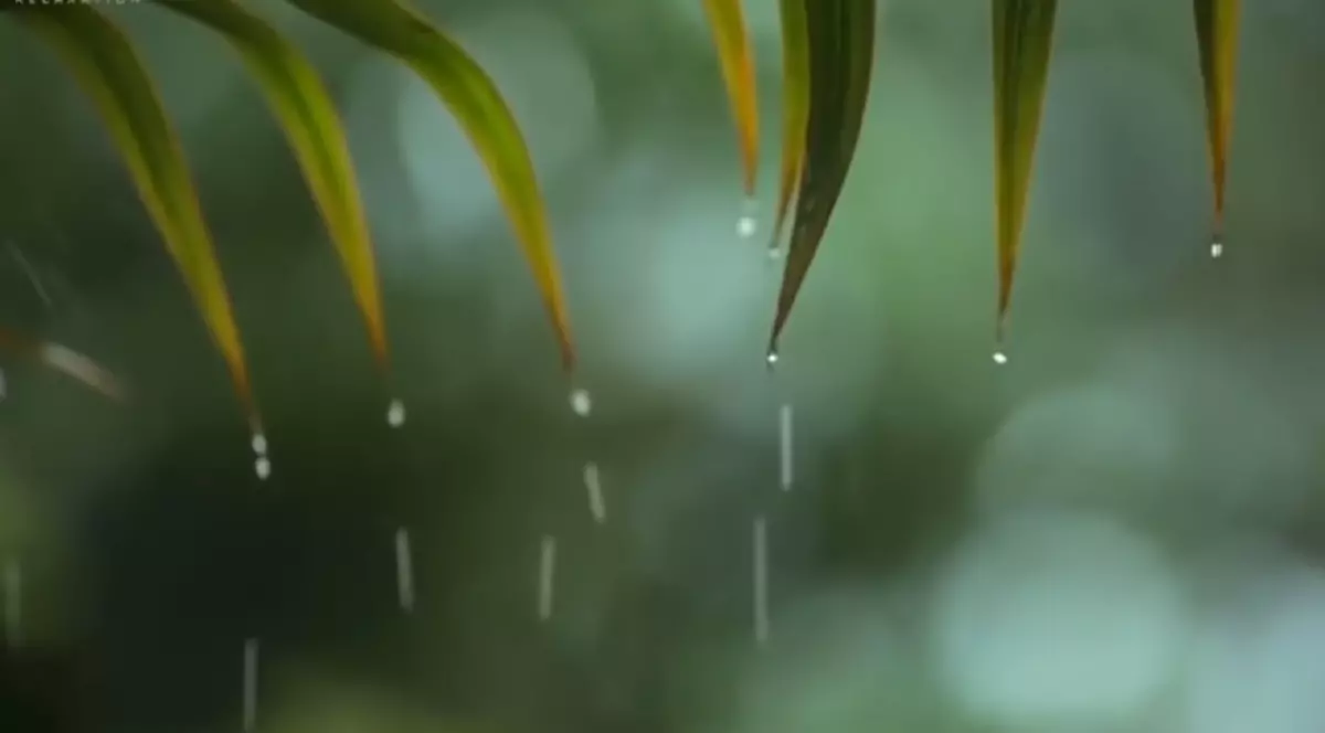 Prognoza meteo, 7 iunie 2020. Vreme caldă, cu instabilitate atmosferică