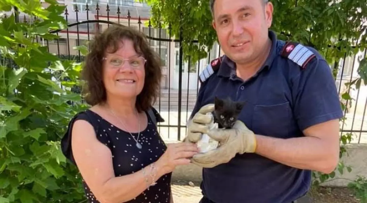 Un pui de pisică căzut într-o canalizare adâncă a fost salvat de pompieri, la Tulcea.