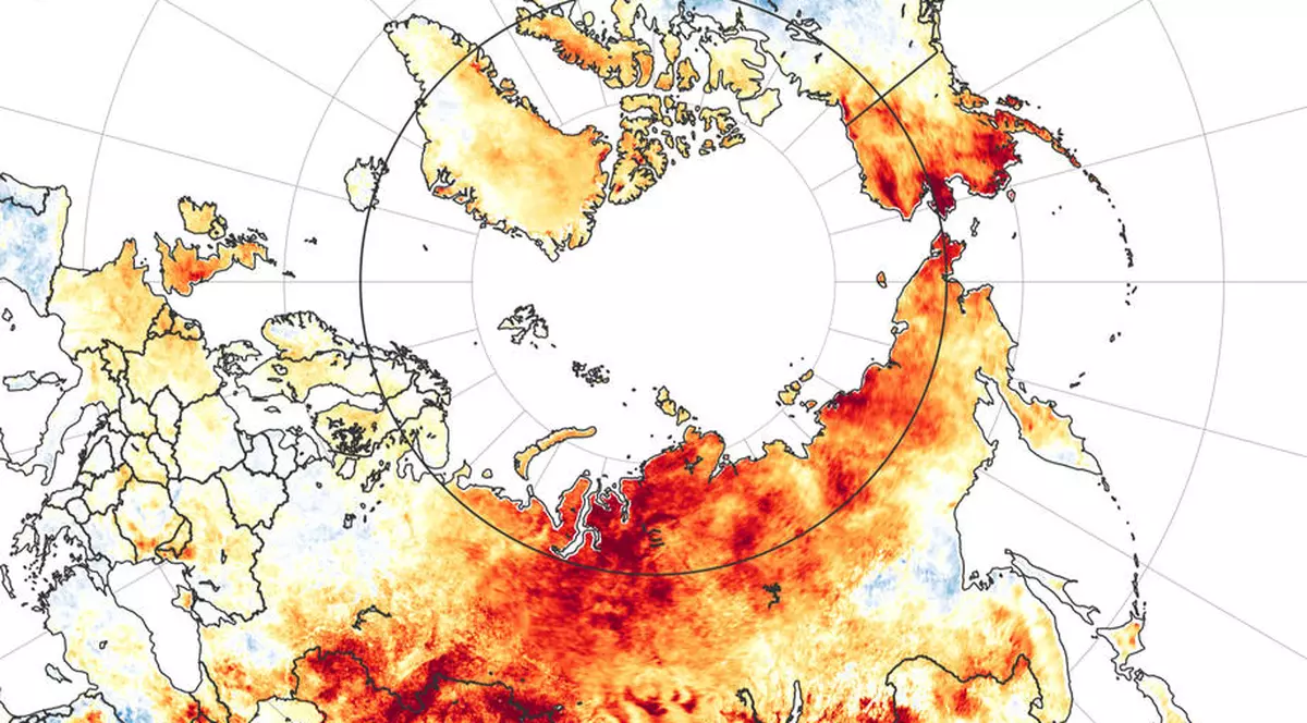 Siberia se topește: 38 de grade Celsius în mijlocul uneia dintre cele mai reci zone de pe Terra