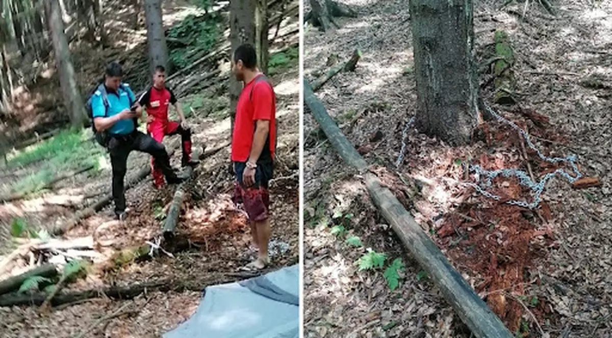 VIDEO | Inconștiență dusă la extrem. Un tânăr s-a legat cu un lanț de un copac și a aruncat cheia. Cum a fost găsit de salvatori