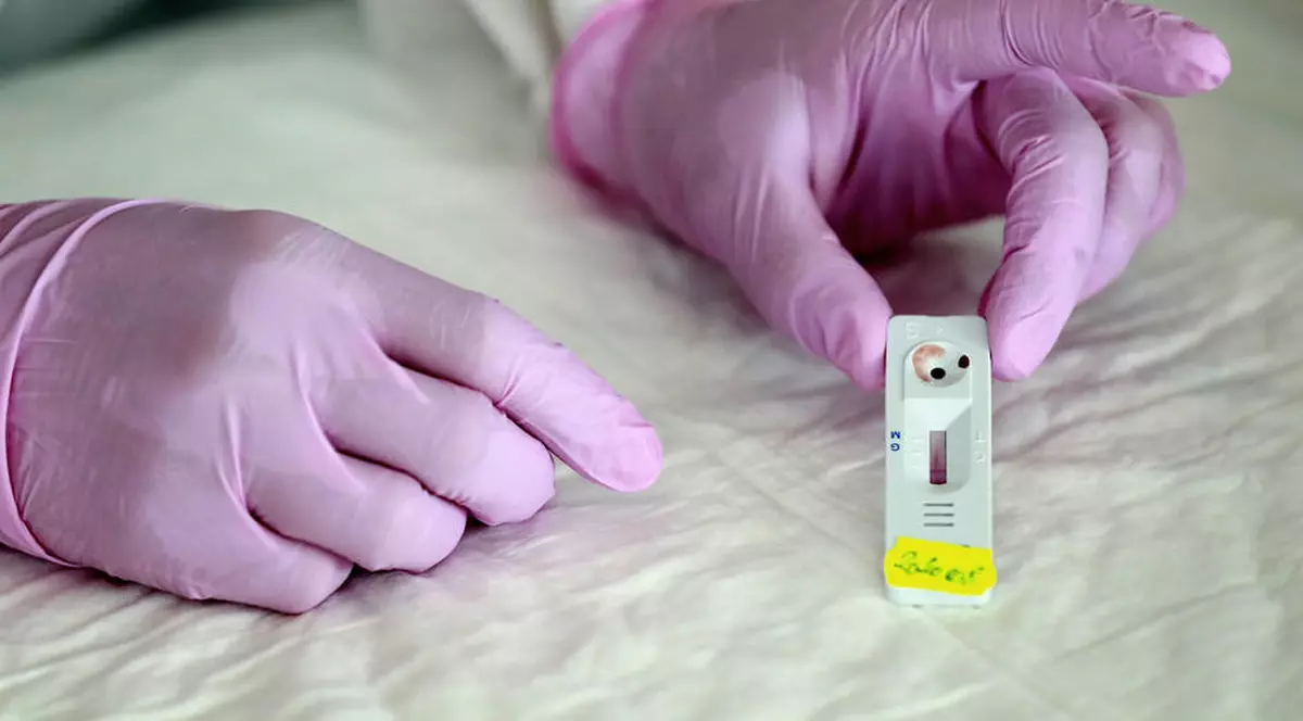 PMB, proiect de 633.000 lei pentru testarea a 3.000 de farmacişti, reprezentanţi media şi angajaţi din domeniul alimentaţiei publice FOTO: EPA