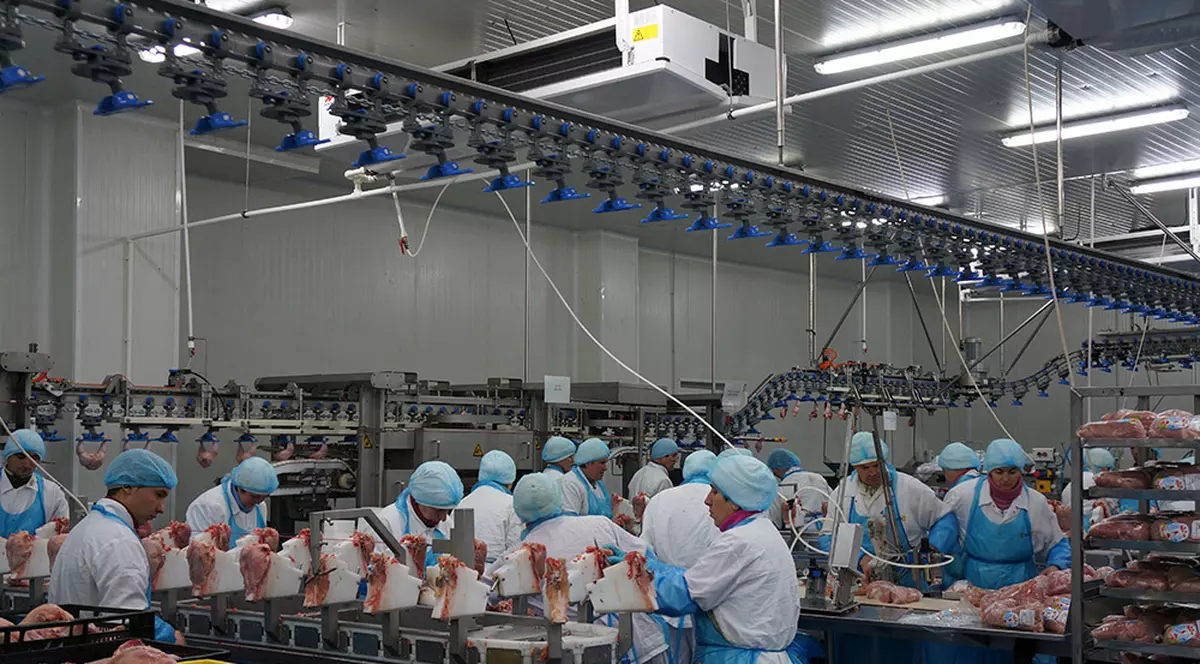 Cel mai mare focar de COVID-19 din Vaslui. 62 de angajaţi, depistaţi cu coronavirus la cel mai mare abator de păsări din judeţ