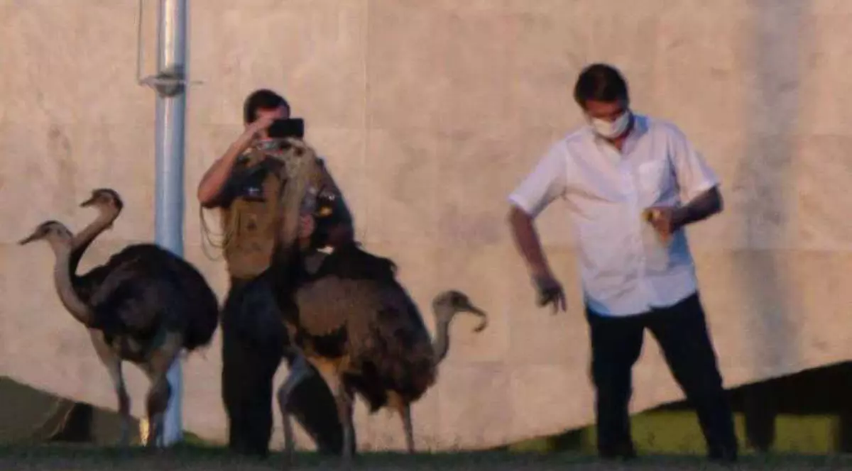 Foto: The Guardian / Twitter