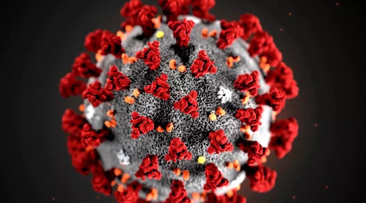 Deteriorarea auzului, posibil efect pe termen lung al coronavirusului, susține un studiu britanic