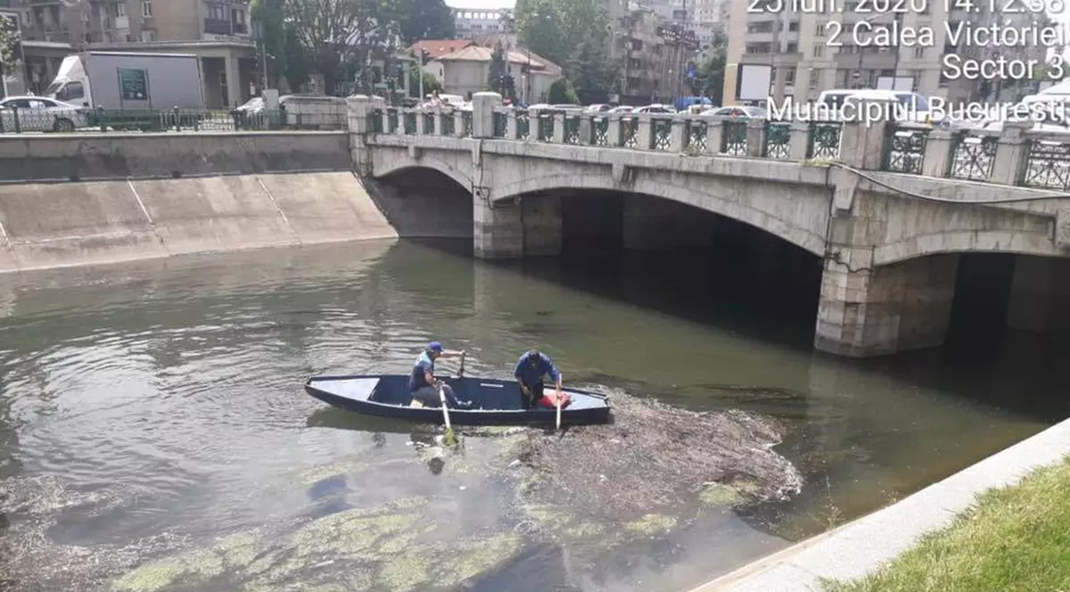 Gabriela Firea a publicat două poze cu "dejecțiile de pe Dâmbovița". Despre ministrul Mediului: "Îl doare în cot de București!"