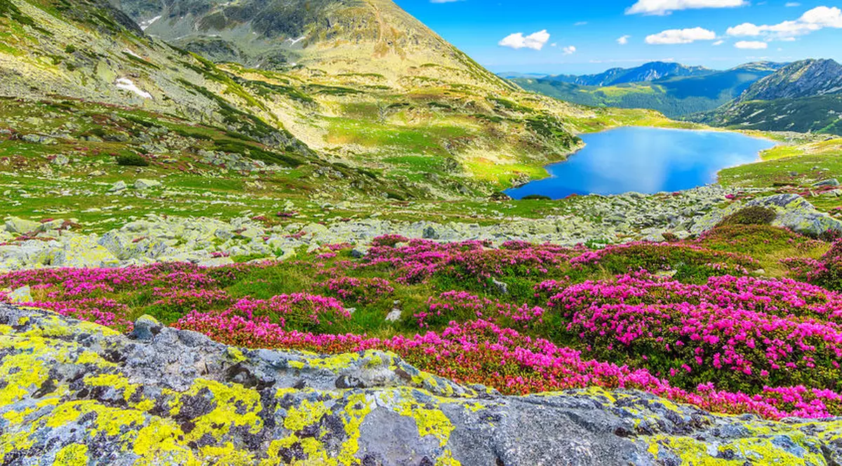 Parcuri naționale și parcuri naturale din România