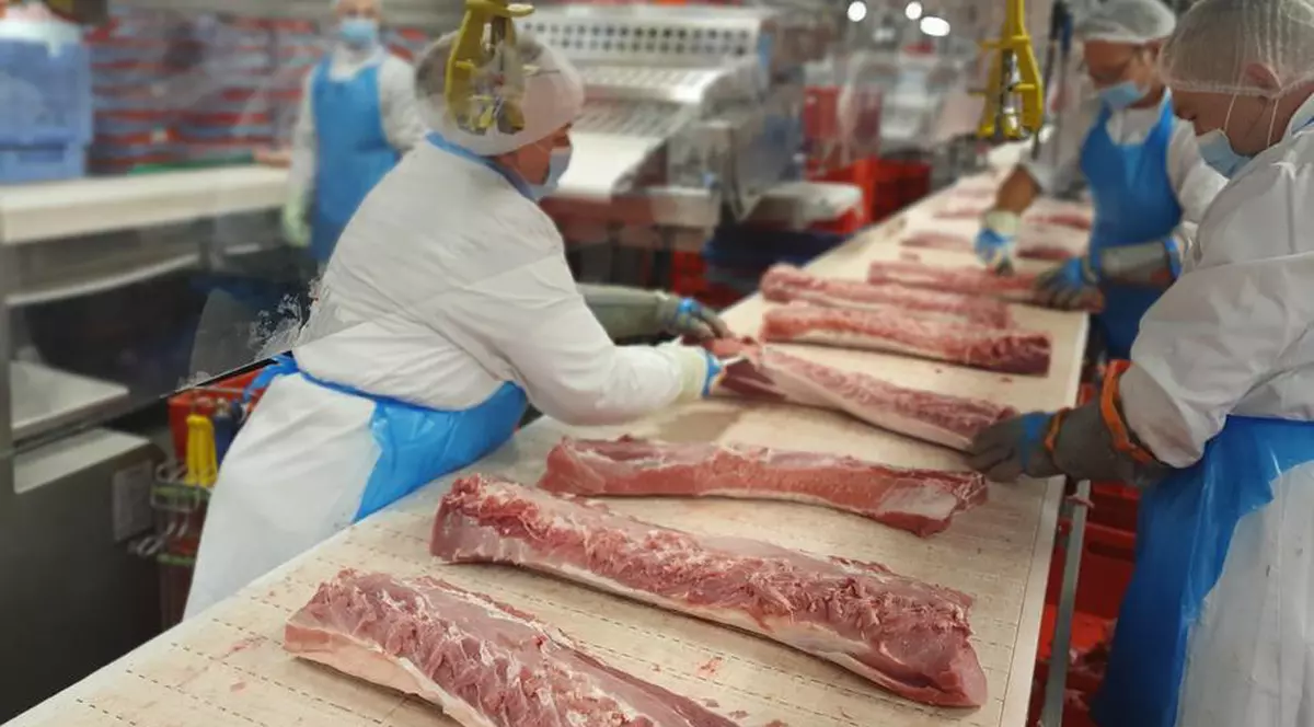 Șase cazuri noi de coronavirus, după reluarea activității la abatorul Tonnies, acolo unde s-au infectat 1.000 de români