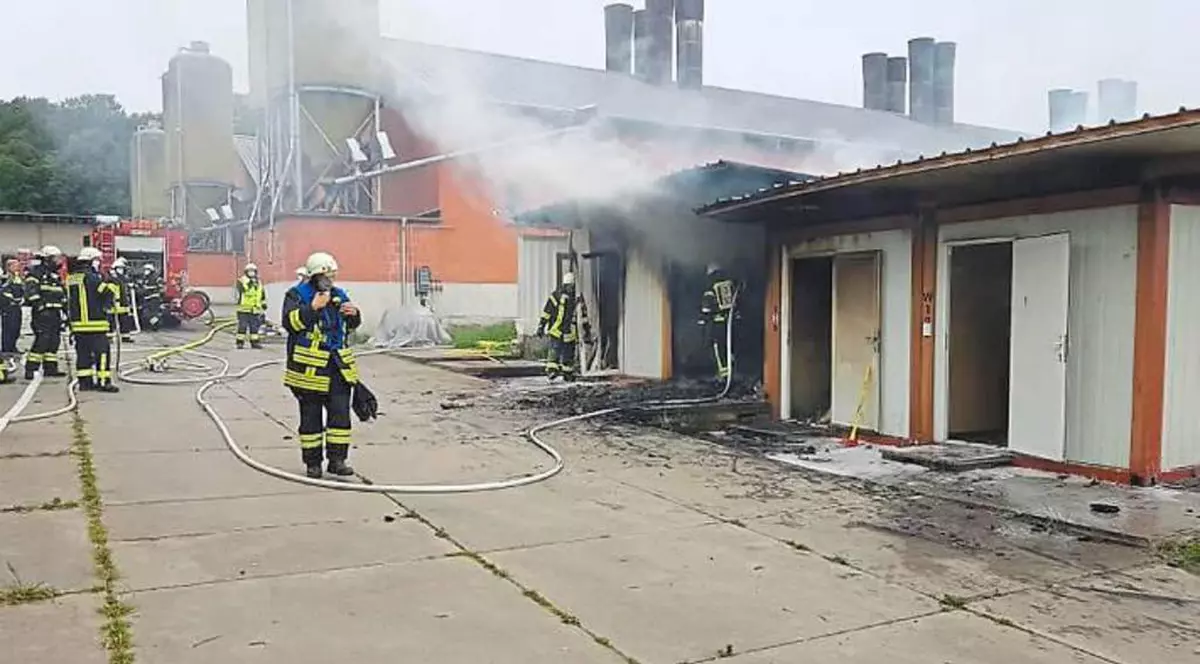 Muncitori români în Germania, cazați în containere pentru găini. Situația, descoperită în urma unui incendiu