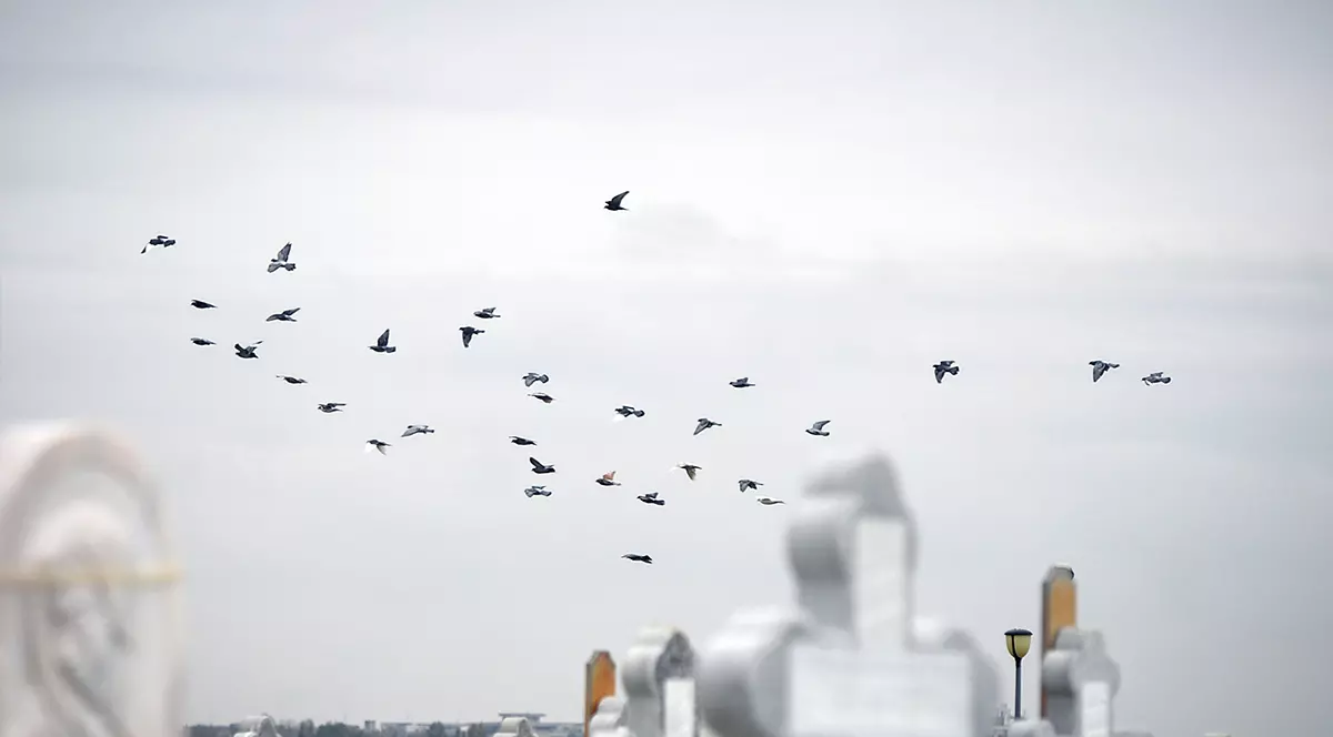 Percheziţii la persoane bănuite de profanare de morminte şi furt, în Giurgiu și București