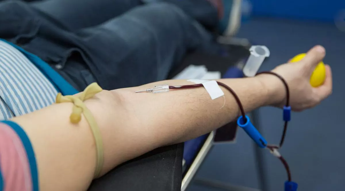 Foto: Inquam Photos / Bogdan-Ioan Buda